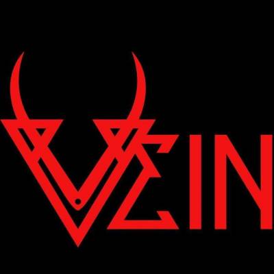 logo Vein (COL)